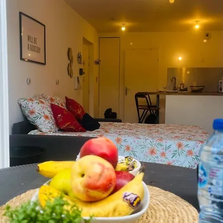 Studio'nav *terrasse*disney*park Appartement